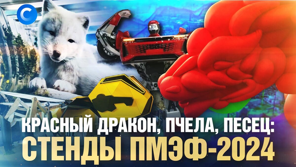    Красный дракон, пчела, песец: стенды    ПМЭФ-2024