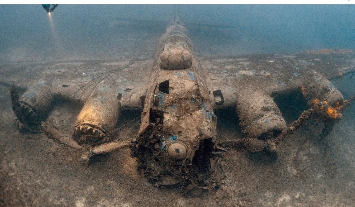 Кому война, а кому понежить уставшие крылышки в теплой водичке.