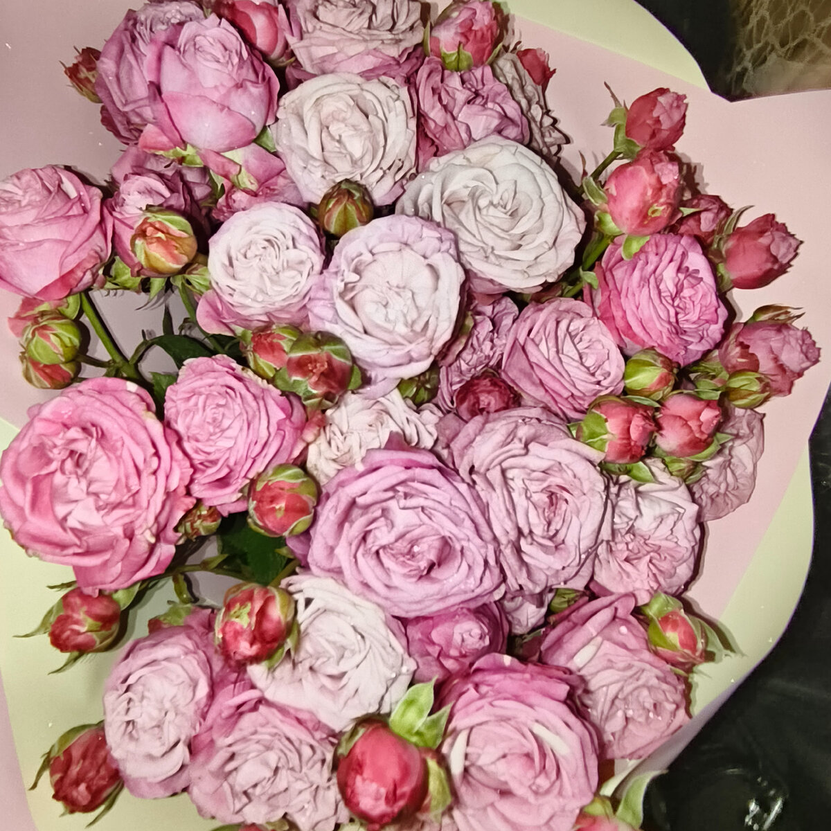 Фото автора. Первые поздравления 