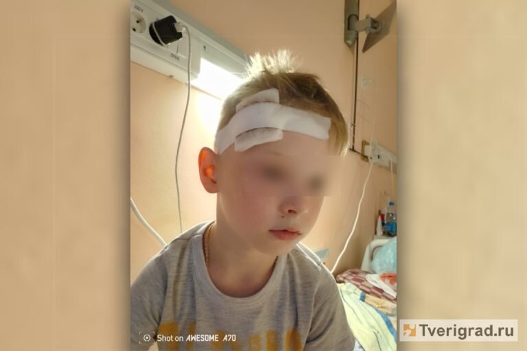 Источник фото tverigrad.ru