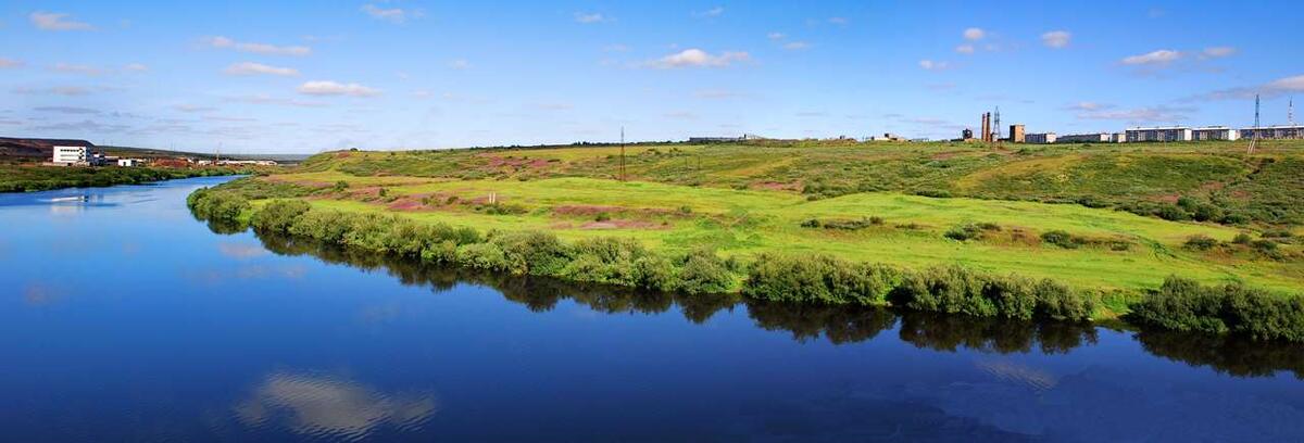    Поле в пойме реки Воркуты. Иван-чай широколистный stalker