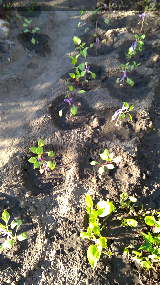 Фото автора (скриншот)