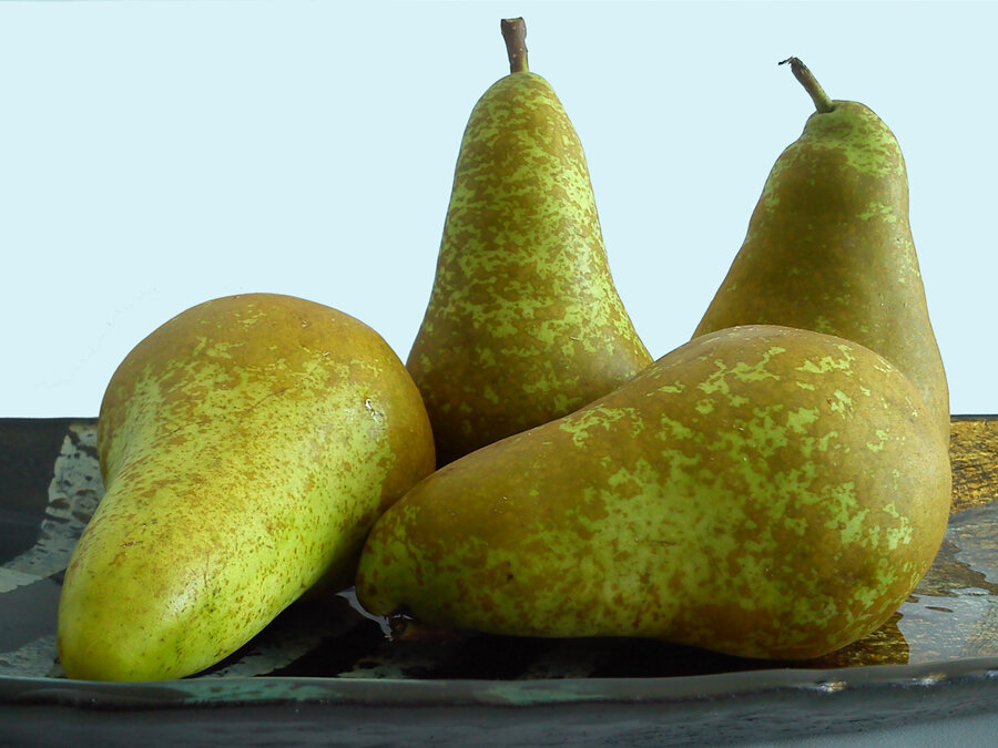 фото из интернета