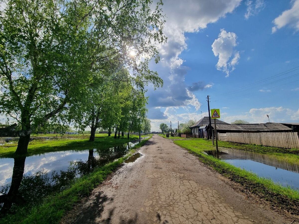 Вода полностью ушла из домов в затопленном селе на севере Омской области |  РИА «Омск-информ» | Дзен