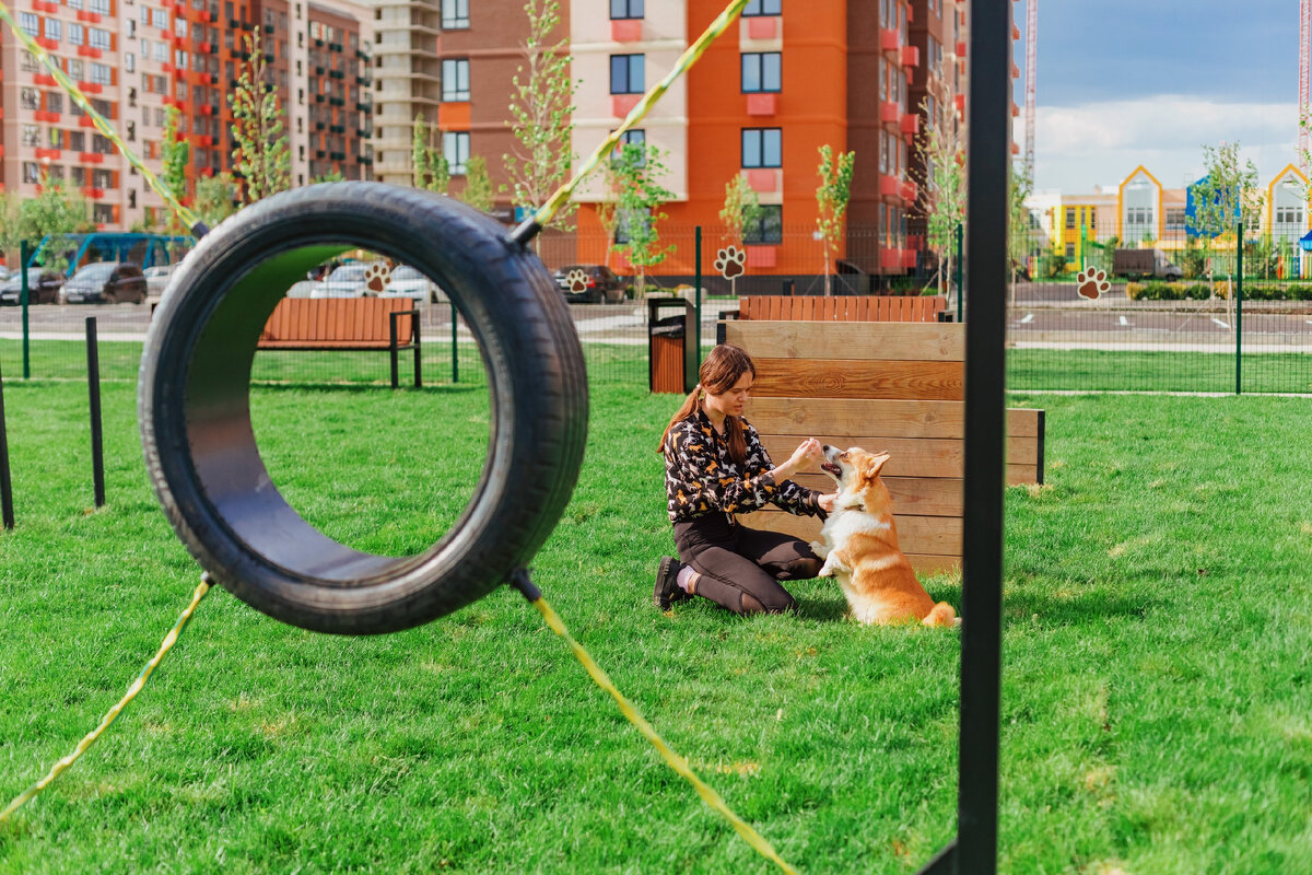 Большой парк, лапомойка и веселые игры – вот в чем секрет счастья  «хвостика» | ГК ТОЧНО | Дзен