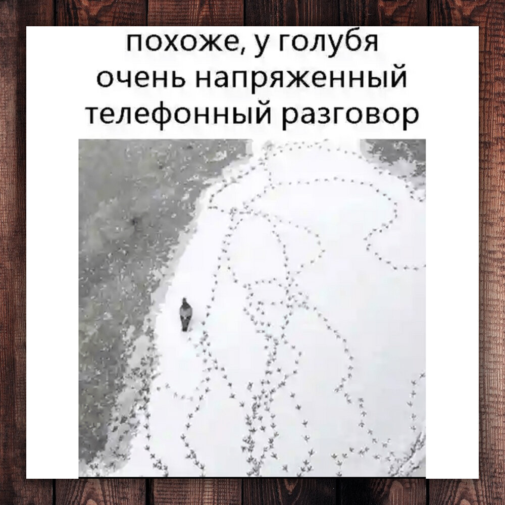 Немножко юмора =) (фото с просторов интернета)