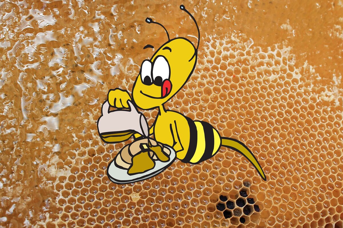 Пчёлы и мёд