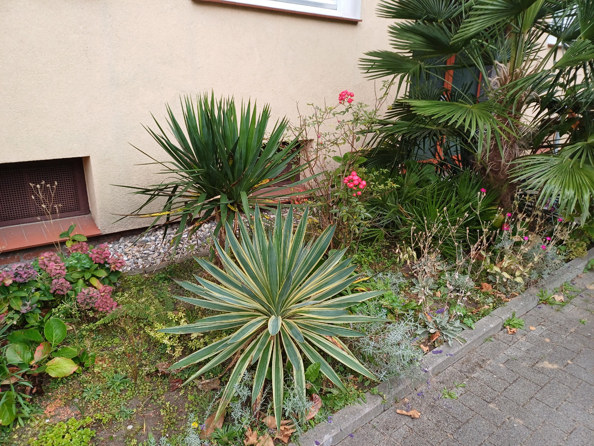 Фото автора.