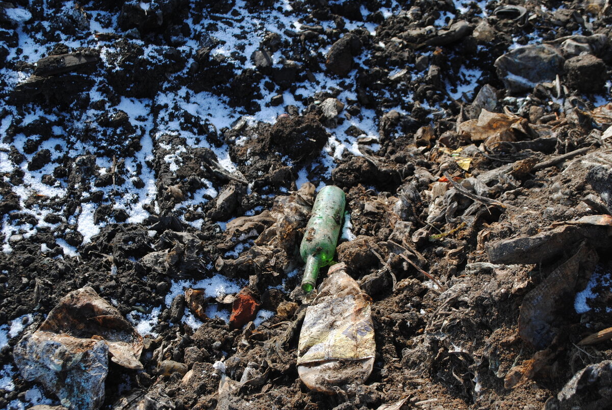    Фото: Анна Григор