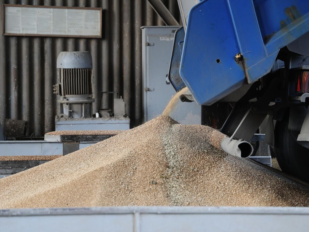    Разгрузка зерна на хлебном заводе "Луганск-Нива"© РИА Новости / Сергей Аверин