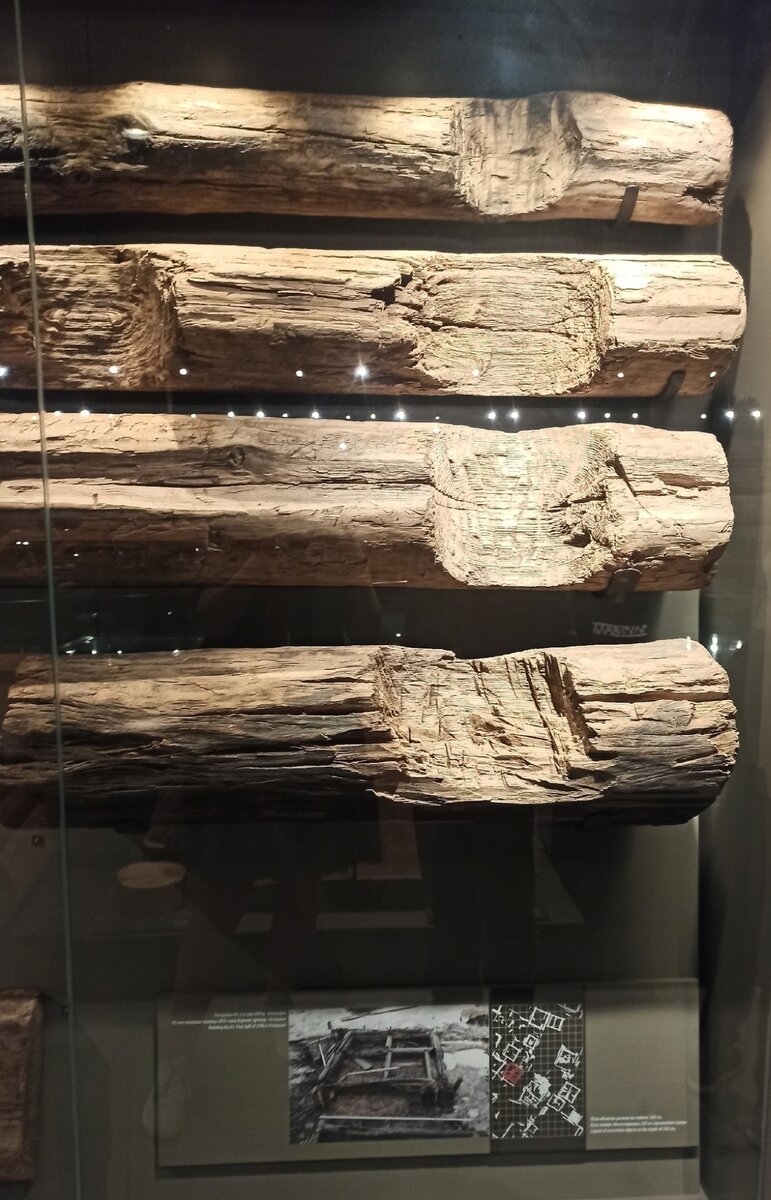 Археологическое дерево строений (срубов).