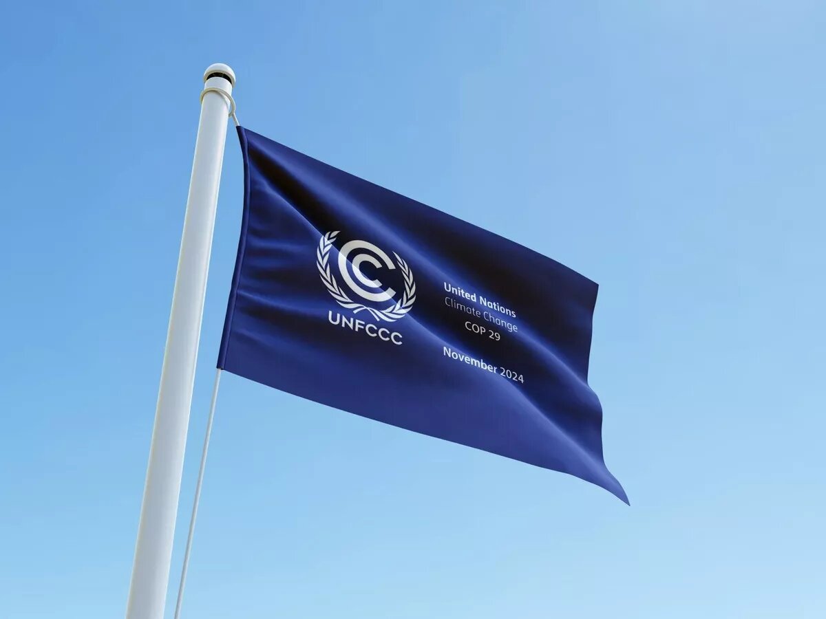 © Photo : Mockups Design