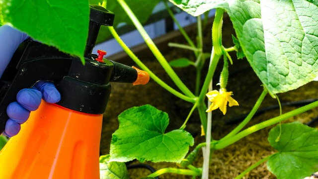 Если когда-нибудь встречу средство, у которого в активе есть только плюсы, с меня всем по шоколадке!