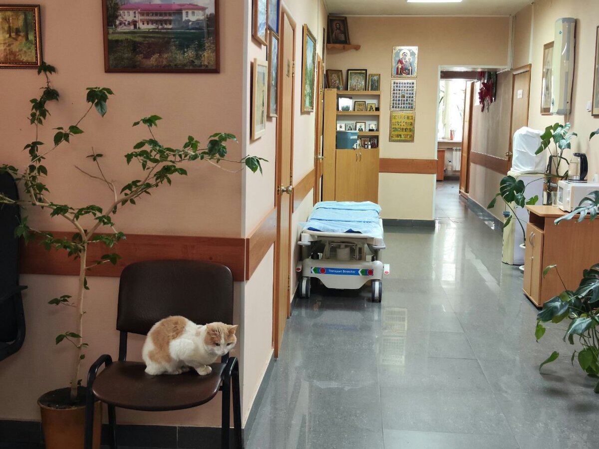 Свыше 25 тысяч нижегородцев нуждаются в паллиативной помощи.  Фото: ФедералПресс / Ксения Кобалия