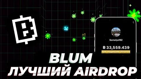 #блум #крипта #игра #hamster Kombat #notcoin