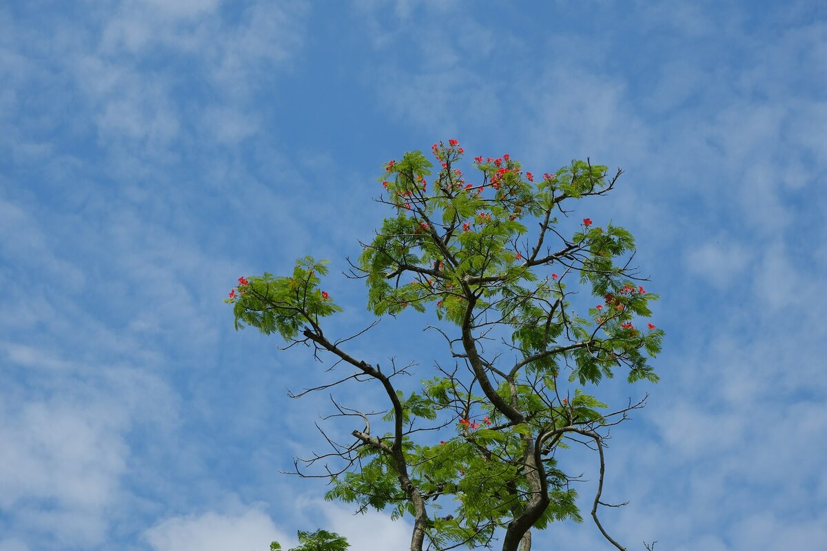 Фото с бесплатного фотостока https://unsplash.com, автор Everest Louis