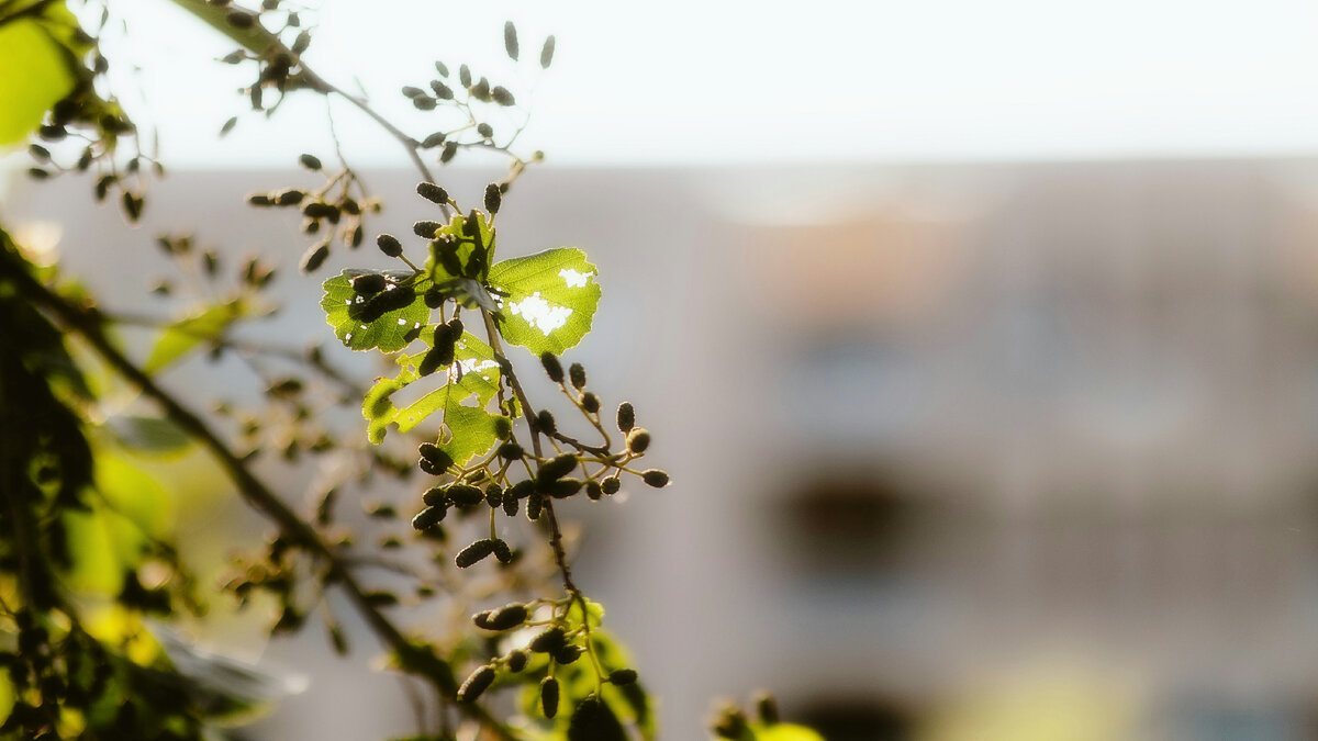 Картинка с бесплатного фотостока https://unsplash.com, автор Alin Gavriliuc