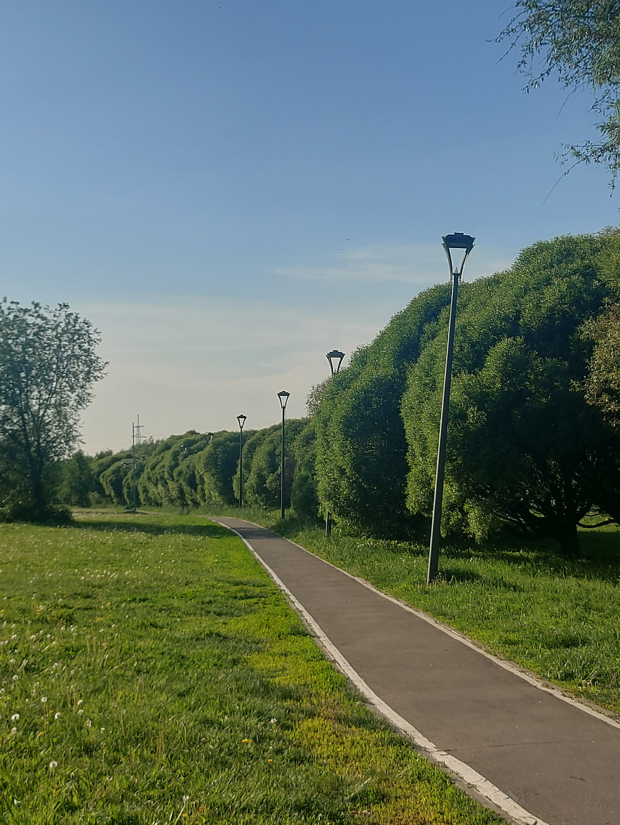 Парк Алтуфьево.