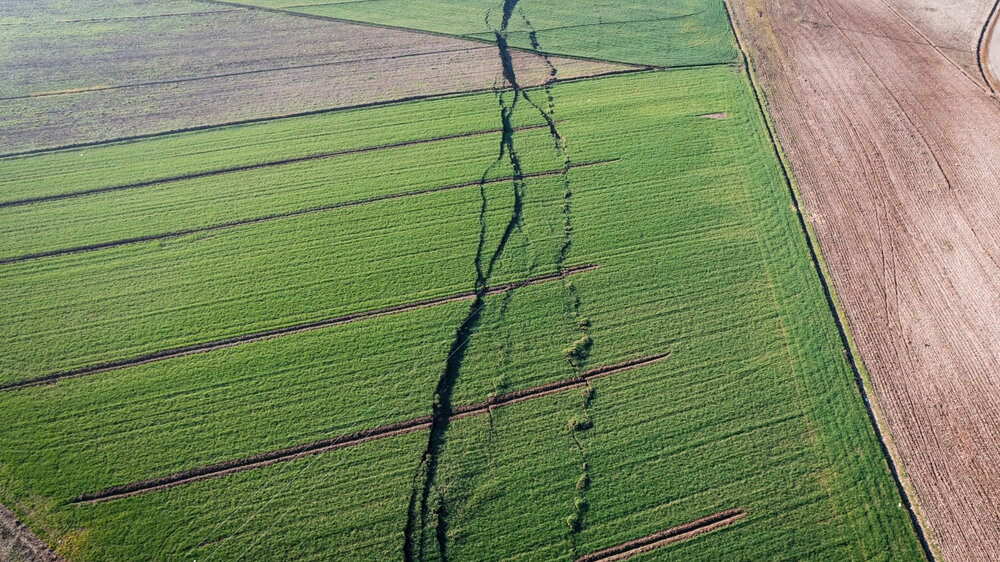    Фото: Shutterstock.com