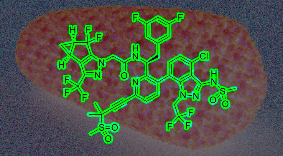   N + 1; Reba16 / Wikimedia Commons; NIAID / Flickr