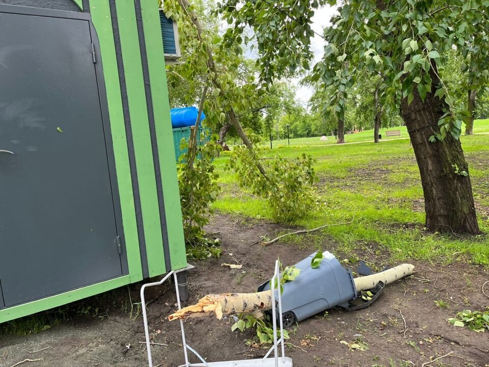    Ветка упала на девушку в Барнауле. Источник: Предоставлено пресс-службой СУ СК России по Алтайскому краю