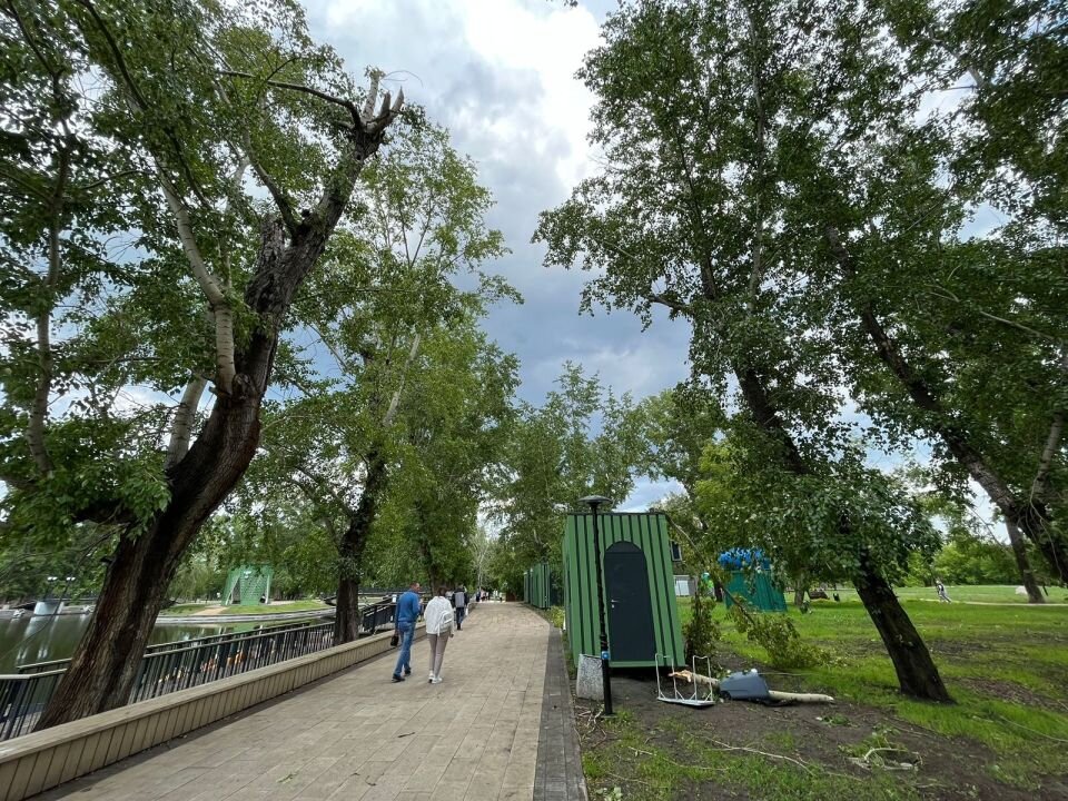    Ветка упала на девушку в Барнауле. Источник: Предоставлено пресс-службой СУ СК России по Алтайскому краю