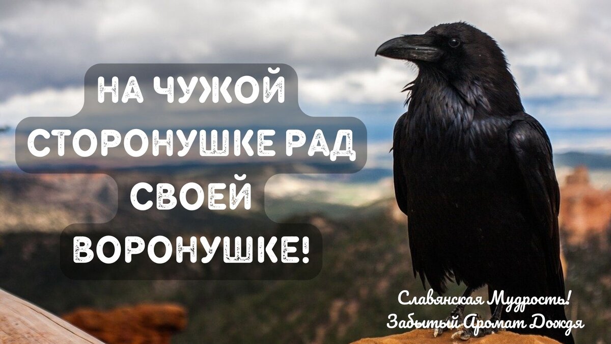 Приметы 7 июня: что можно и нельзя делать | Забытый Аромат Дождя | Дзен