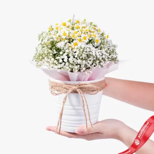    Ромашки и гипсофилы в букете «Шарлотта» от AzaliaNow