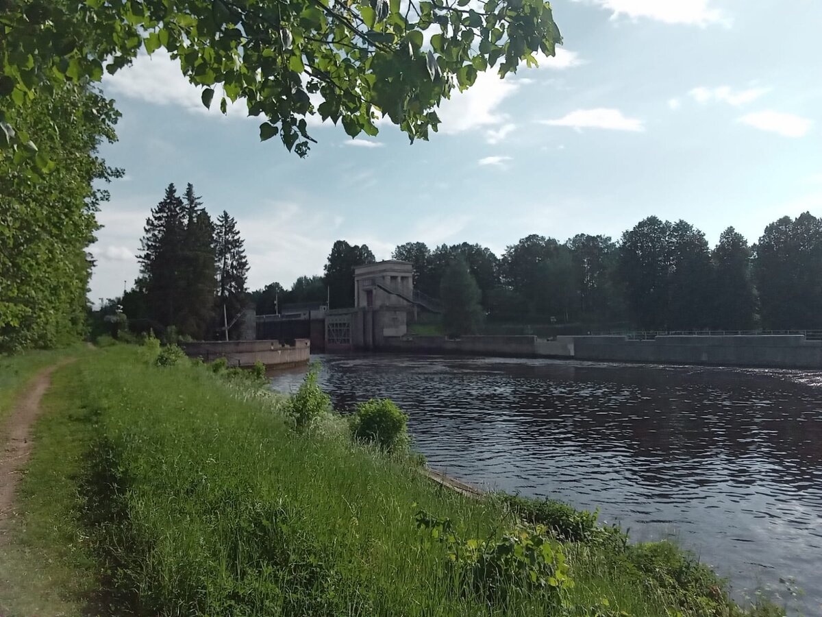 Вот оттуда ждали