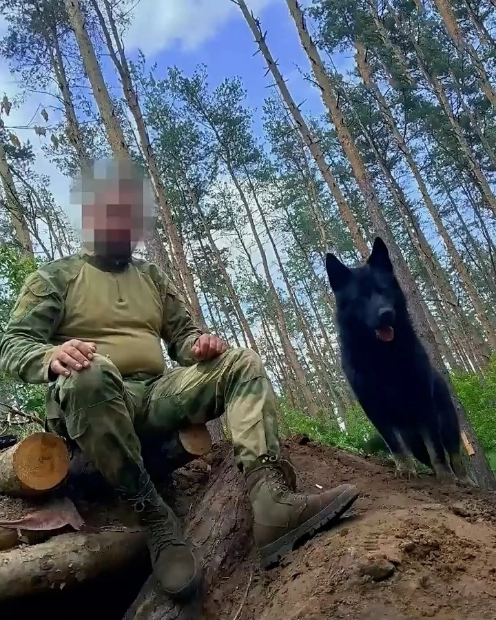 Фото: скрин видео Youtube