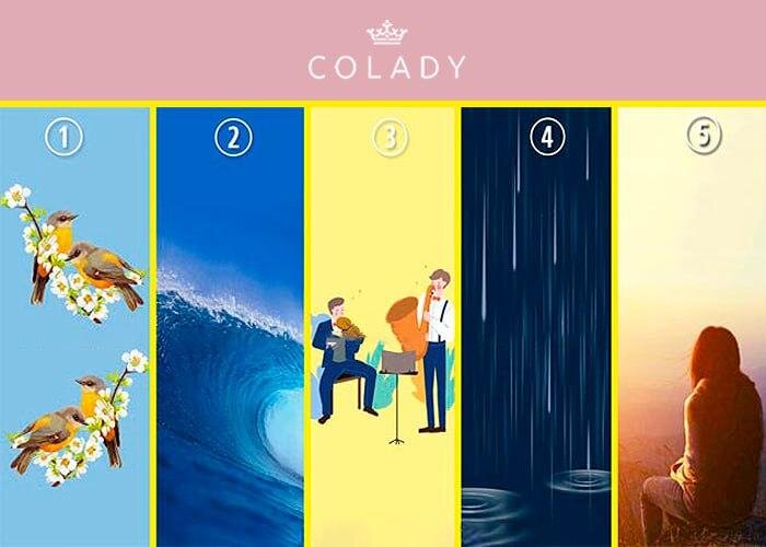    Иллюстрация Colady от Кирилла Даниленко Елена Вставская