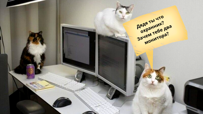 Фотографии всех котов в этом блоге найдены в Яндекс Картинках