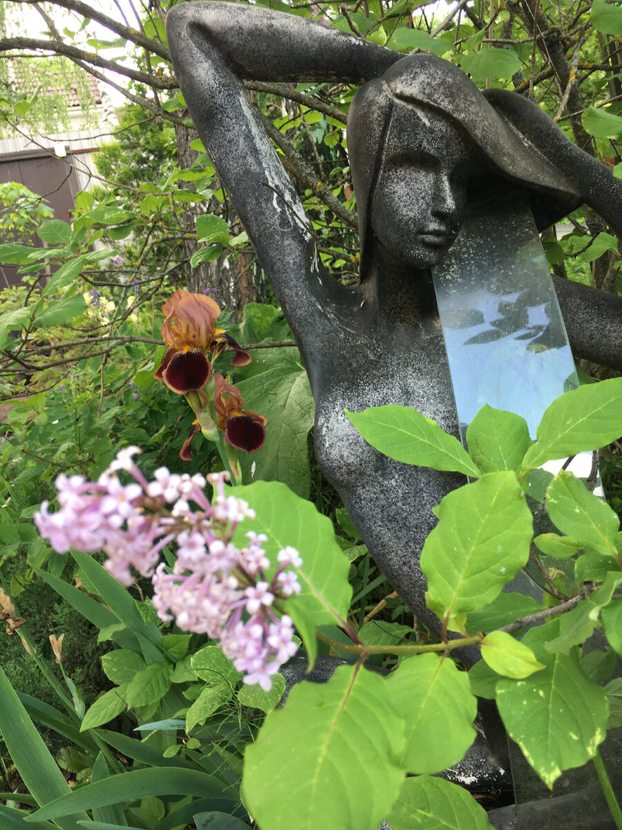 «Гюльчатай» блаженствует