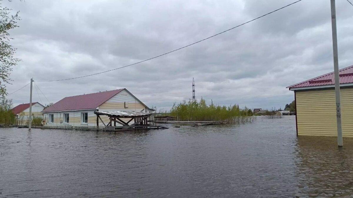 😭 «Люди ВОЮТ, возвращаясь домой»: правда о паводке в Омской области |  Туризм и путешествия - Travel247 | Дзен