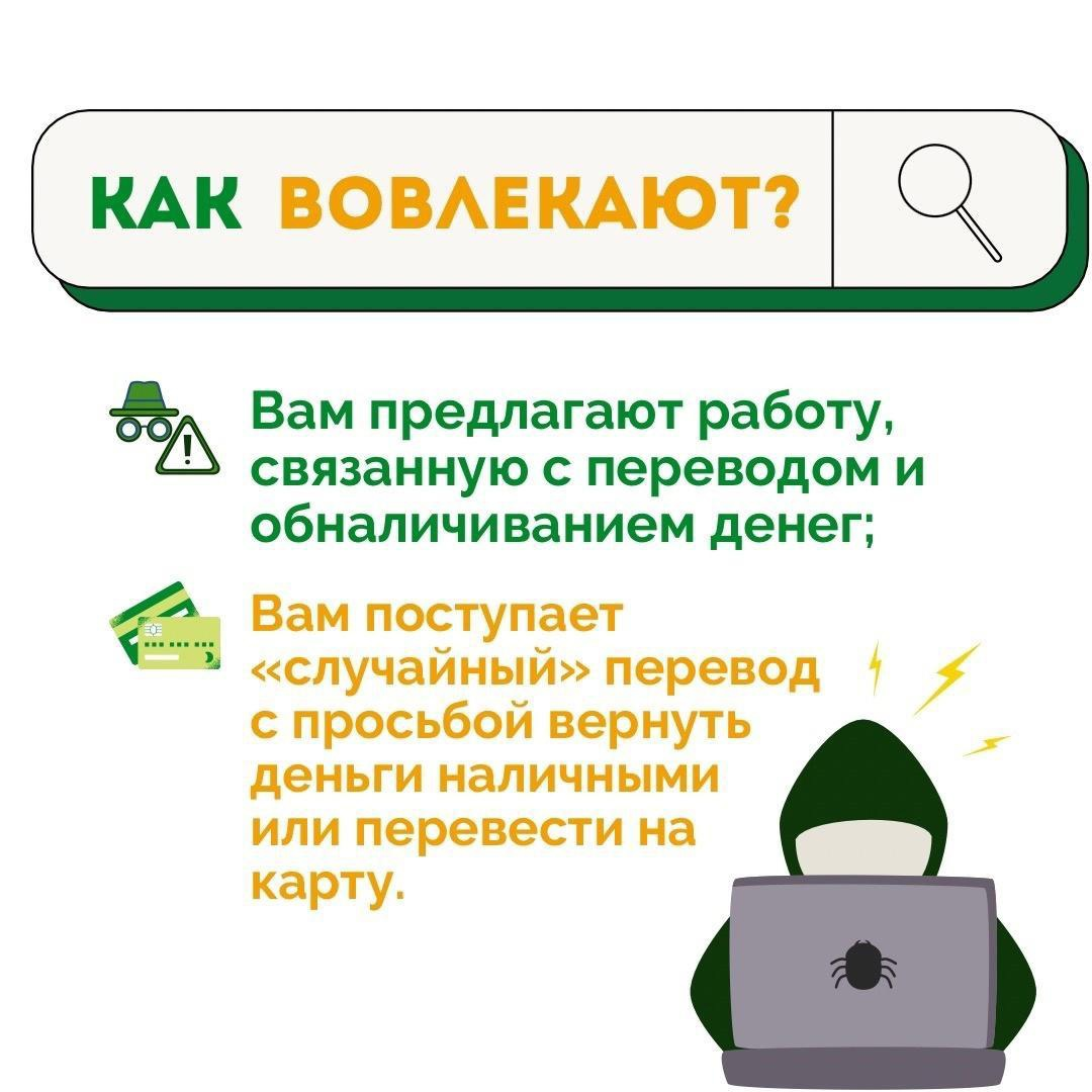 Кто такие дропперы и как не стать соучастником преступления ❓ | Первый  образовательный | Дзен