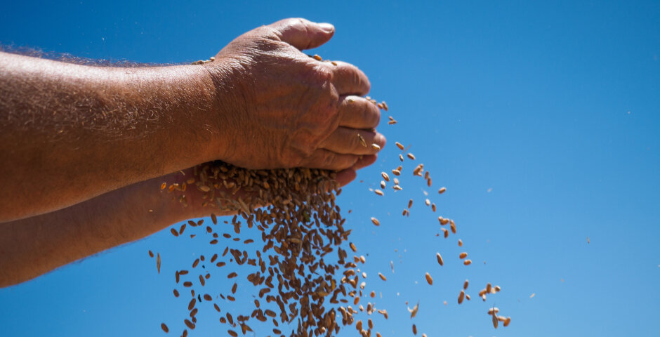    Фото: Виталий Тимкив/ТАСС