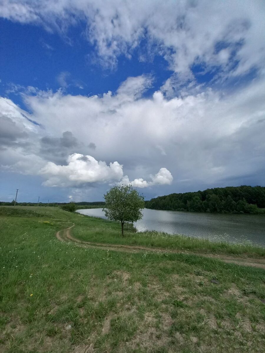 река Кострома