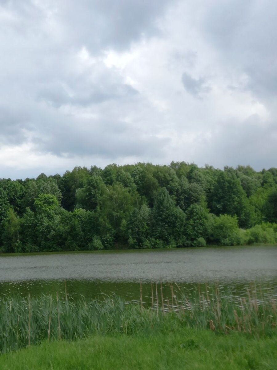 река Кострома