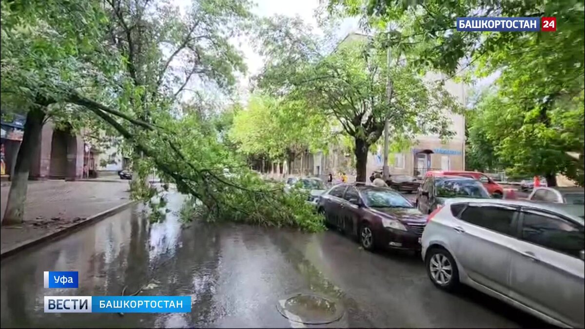    В Уфе на улице Достоевского шквалистый ветер повалил на дорогу дерево