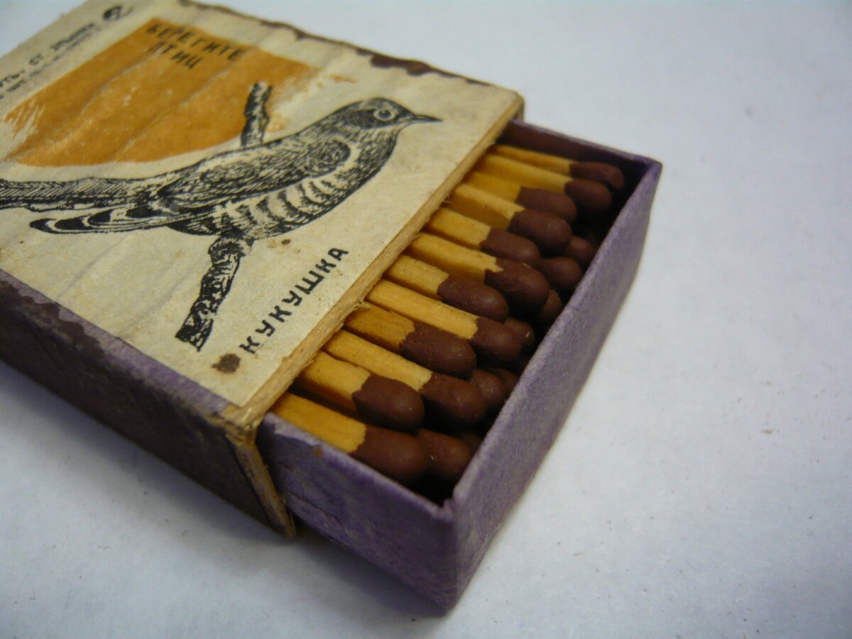 источник фото указан в конце статьи