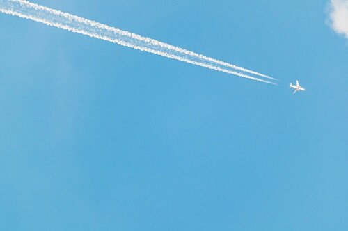    Фото: Mateus Andre/freepik.com
