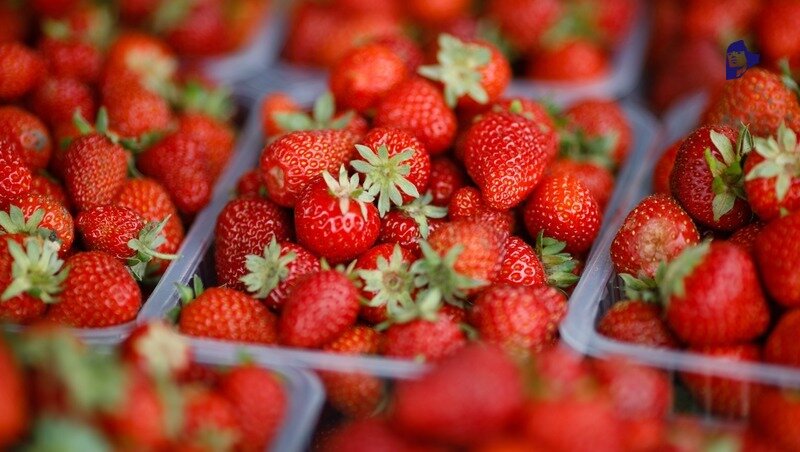      Фото: ИА «Победа26»