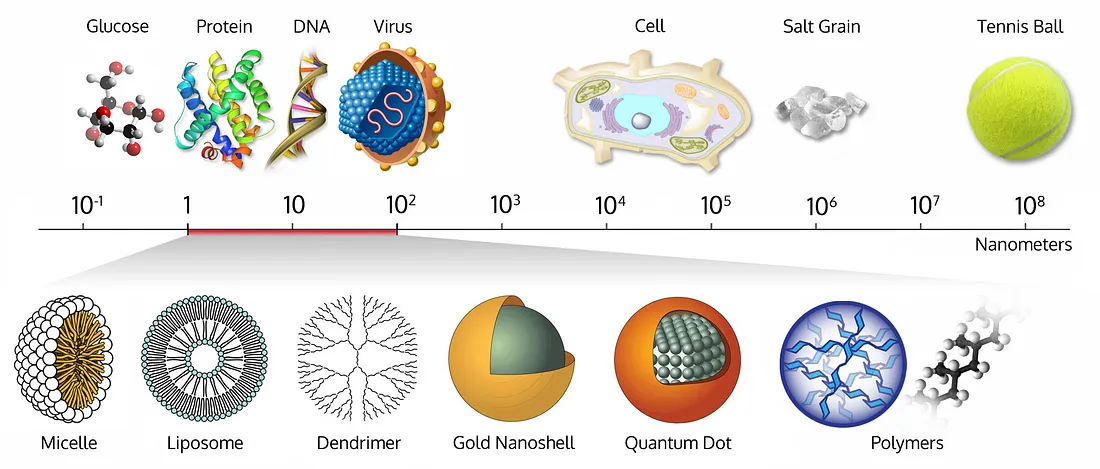 Сколько nm. Размер наночастицы. Наночастицы сравнение размеров. Размер нанометр. Микрочастицы и наночастицы размер.
