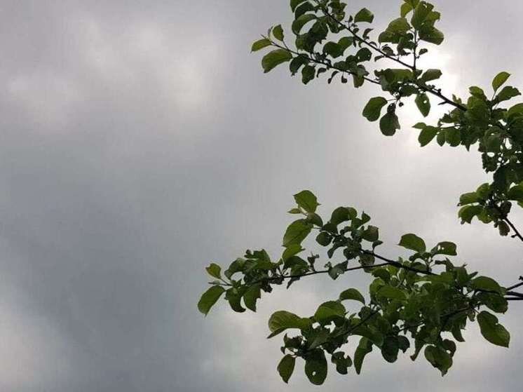     Фото: Мария Кокорева