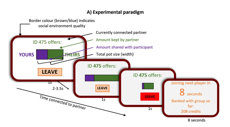   Anthony S. Gabay et al. / Communications Psychology, 2024