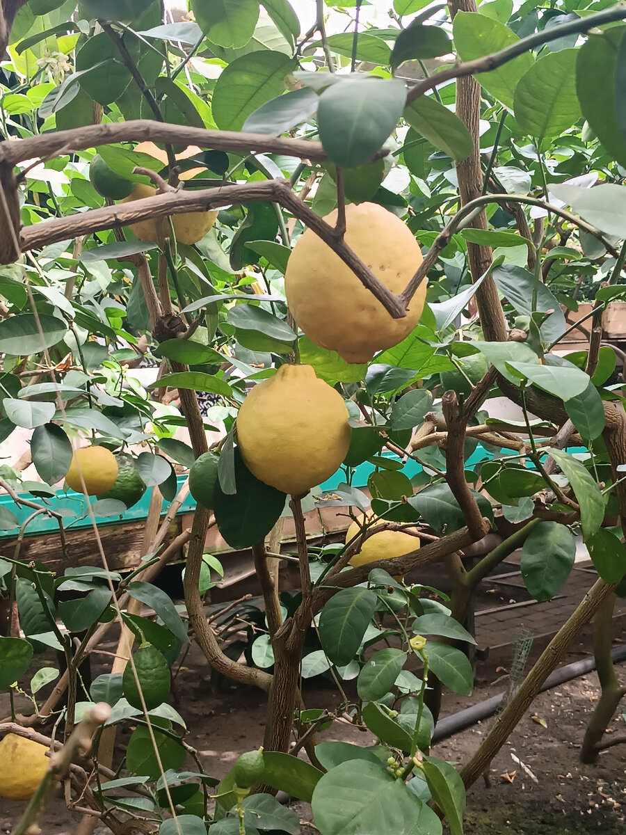 Здесь и далее - фото автора