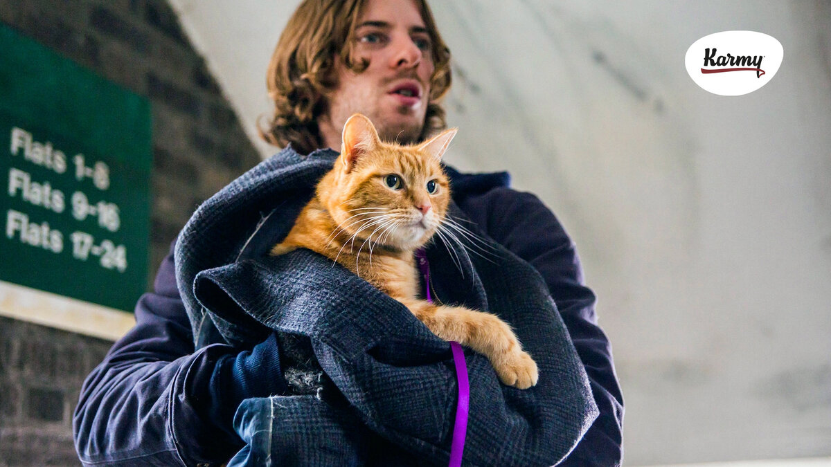 Авторское изображение с использованием картинки с сайта thesun.co.uk