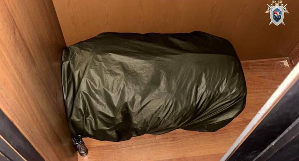     Пресс-служба СК Москвы / Telegram