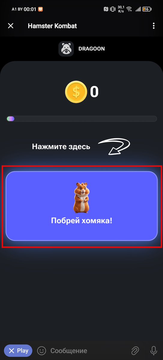 Не запускается хамстер