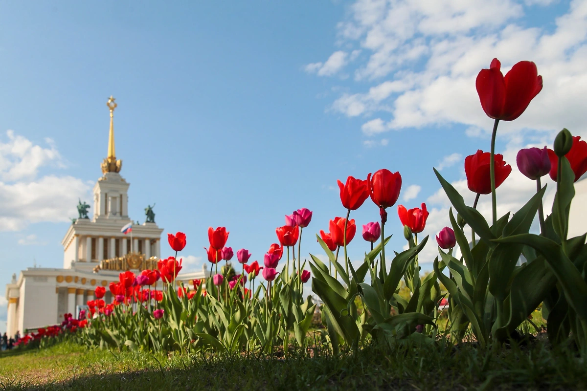 © АГН "Москва" / Василий Кузьмичёнок